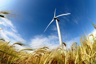 Wind Turbine in wheat field
